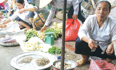 Kinh hãi thịt ôi, cá ươn vào quán ăn