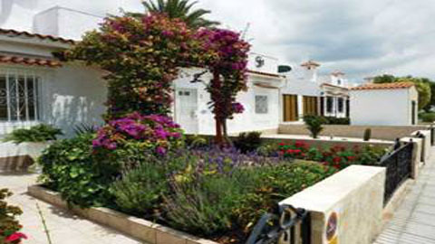 Gran Canaria: bay đến giấc mơ xanh