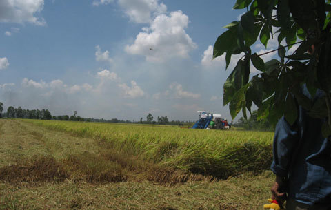 Khi nông dân bỏ xứ ra đi