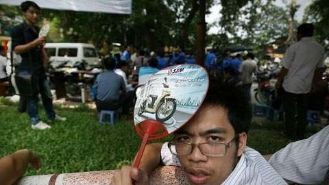 Đến mùa hiệu trưởng 'ngồi ngọn cây'