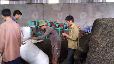 Rùng mình công nghệ chè bẩn
