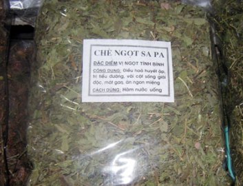 Biến “chè Nhật” độc hại thành “cỏ ngọt SaPa” để đánh lừa