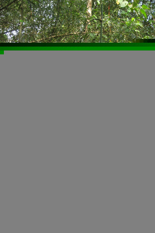 Các tư thế ngồi máy tính giúp người dùng không mỏi