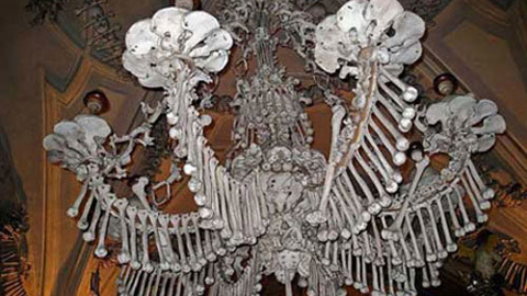 Rợn người thú chơi dùng hài cốt trang trí