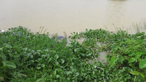 Phát hiện xác phụ nữ chết bí ẩn