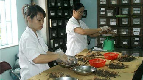 Y học cổ truyền - xu hướng chữa bệnh thời hiện đại
