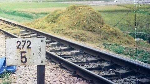 Trần truồng ngủ trên đường sắt bị tàu cán chết