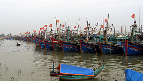 Chùm ảnh: Miền Trung hối hả đón bão