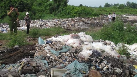 Tội phạm môi trường đan xen tham nhũng