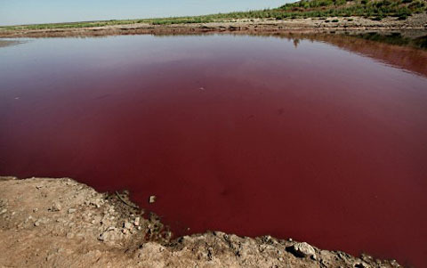 Hồ chuyển màu, dân hoang mang ngày tận thế