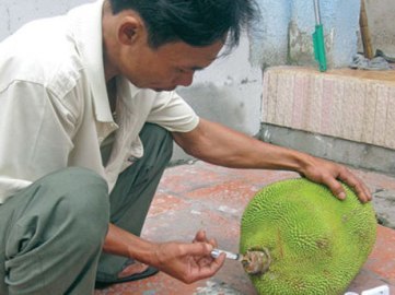 Hãi hùng 