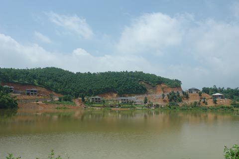 Bất động sản thời ế: Phân lô để trồng cỏ