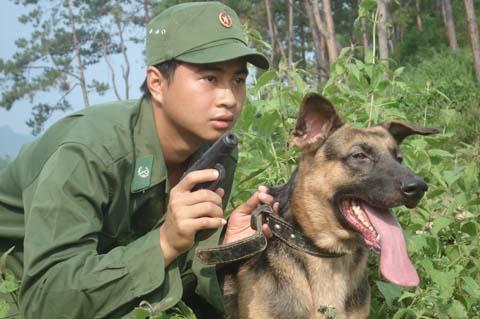 'Chim sẻ' vùng biên và mẻ lướt bắt đại bàng