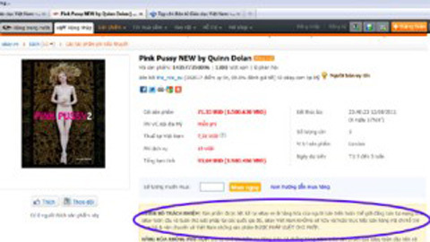Ebay phân trần vụ bán hàng 'sung sướng' online
