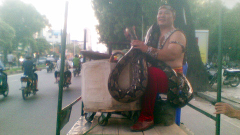 Khiếp vía cảnh trăn 'dạo phố' Hà thành
