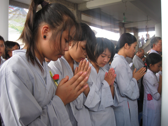 'Tôi hạnh phúc được cài bông hồng đỏ...'