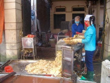 Tận mục hành phi được làm từ hành tây, bột và mỡ bẩn