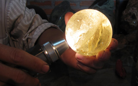 Mãn nhãn với cặp gỗ hóa thạch bạc tỷ