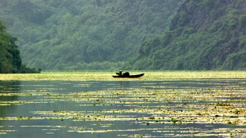 Góc nhìn riêng của nhạc trưởng Lê Phi Phi