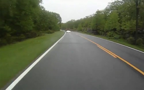 Con nai nhảy phốc qua đầu ô tô Bently