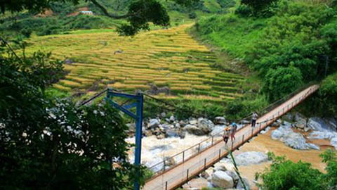 Ruộng bậc thang ở Tây nguyên