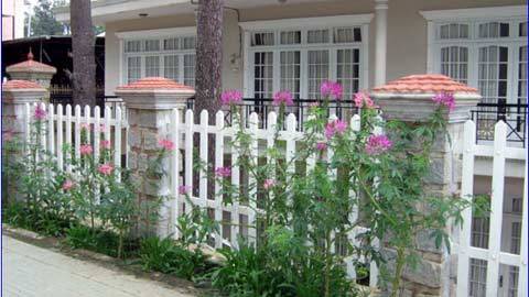 Làm đẹp không gian... ngoài trời