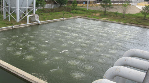 Không làm quy hoạch bài bản, doanh nghiệp chỉ lo đánh quả