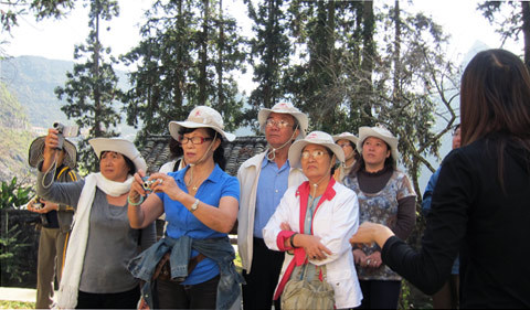 Bó tay vì bị đạo tour