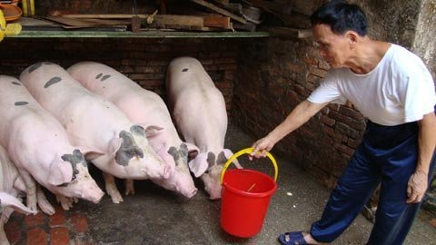 Chuyện về ông “chủ tịch mặt trận phố”