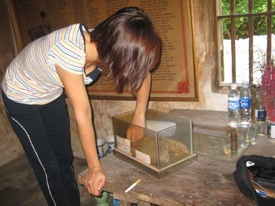 Nghe người có 