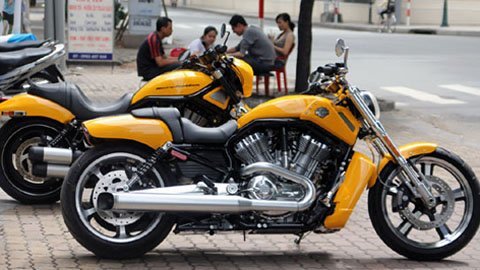 Bộ đôi Harley Davidson Muscle khoe dáng