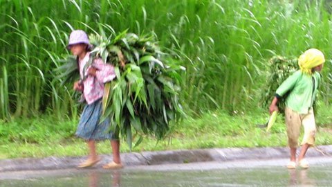 Em bé Phố Cáo gồng mình “cõng
