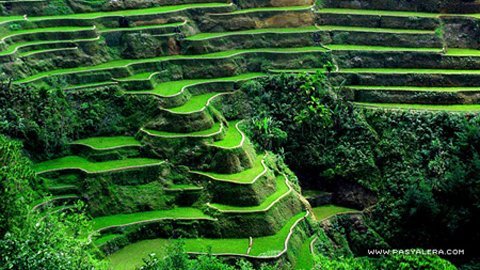 Cùng đi du lịch Philippines