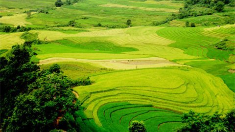 Thung lũng đẹp như tranh trên độ cao 2.000m