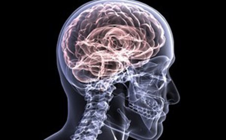 IBM thử nghiệm chip mô phỏng não bộ