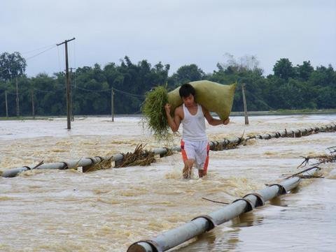 Nóng trong tuần: Xôn xao viện phí