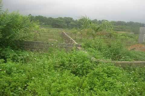 Đại gia vỡ mộng khi 'ôm' đất Ba Vì