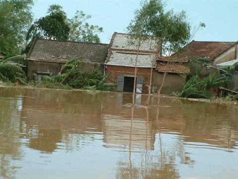 Bão đang vào, miền Trung sắp mưa lớn