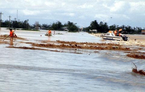 Bão số 4: Chuyển dân ra khỏi vùng nguy hiểm