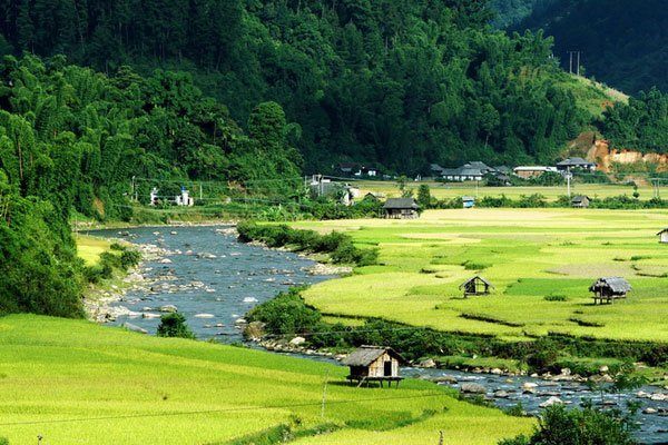 Tuyệt đẹp mùa vàng sóng sánh