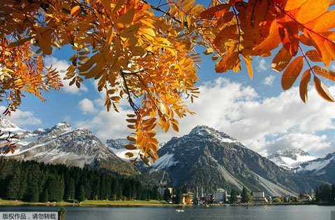 Khi thế giới nhuộm vàng sắc thu