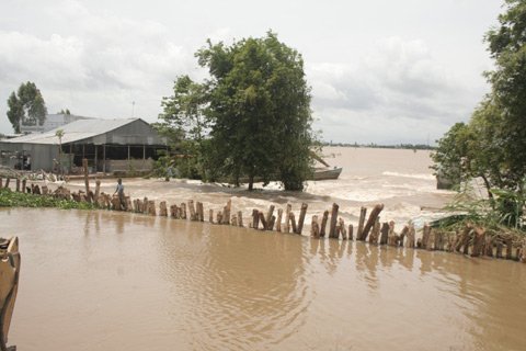 Chống siêu bão: Cấm biển, sơ tán dân