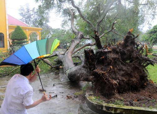 Lũ lên nhanh, bão làm Quảng Ninh thiệt hại nặng