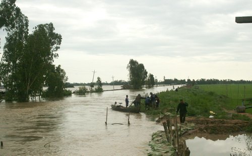 Đồng Tháp vỡ đê, Quảng Bình có 3.000 nhà ngập