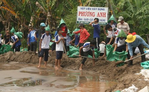 Thầy trò cùng xắn tay ngăn lũ