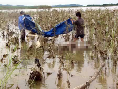 Đi bắt cá, phát hiện xác chết