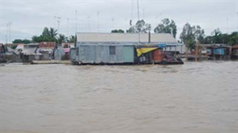 Lo sợ khi chuồng nuôi cá sấu chìm trong lũ