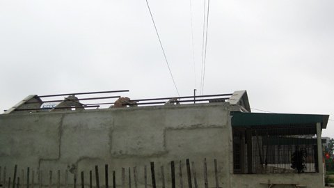 Khởi tố nguyên Giám đốc trung tâm LĐXH