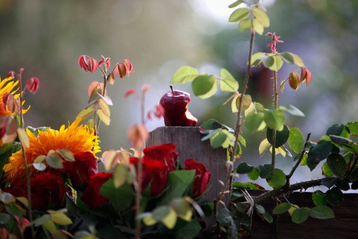 Những hình ảnh nổi bật tuần qua