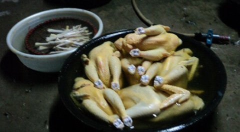 Ghê người kĩ nghệ chế biến thực phẩm bắt mắt
